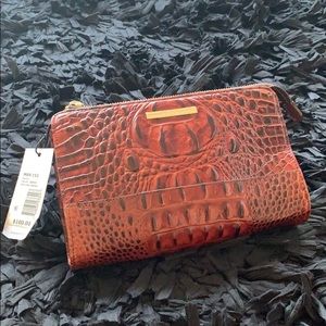 Brahmin clutch